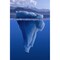 Posterazzi View Of An Iceberg Above And Below The Surface Of The Water Poster Print